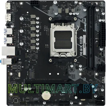 Материнская плата BIOSTAR A620MT Ver. 6.0